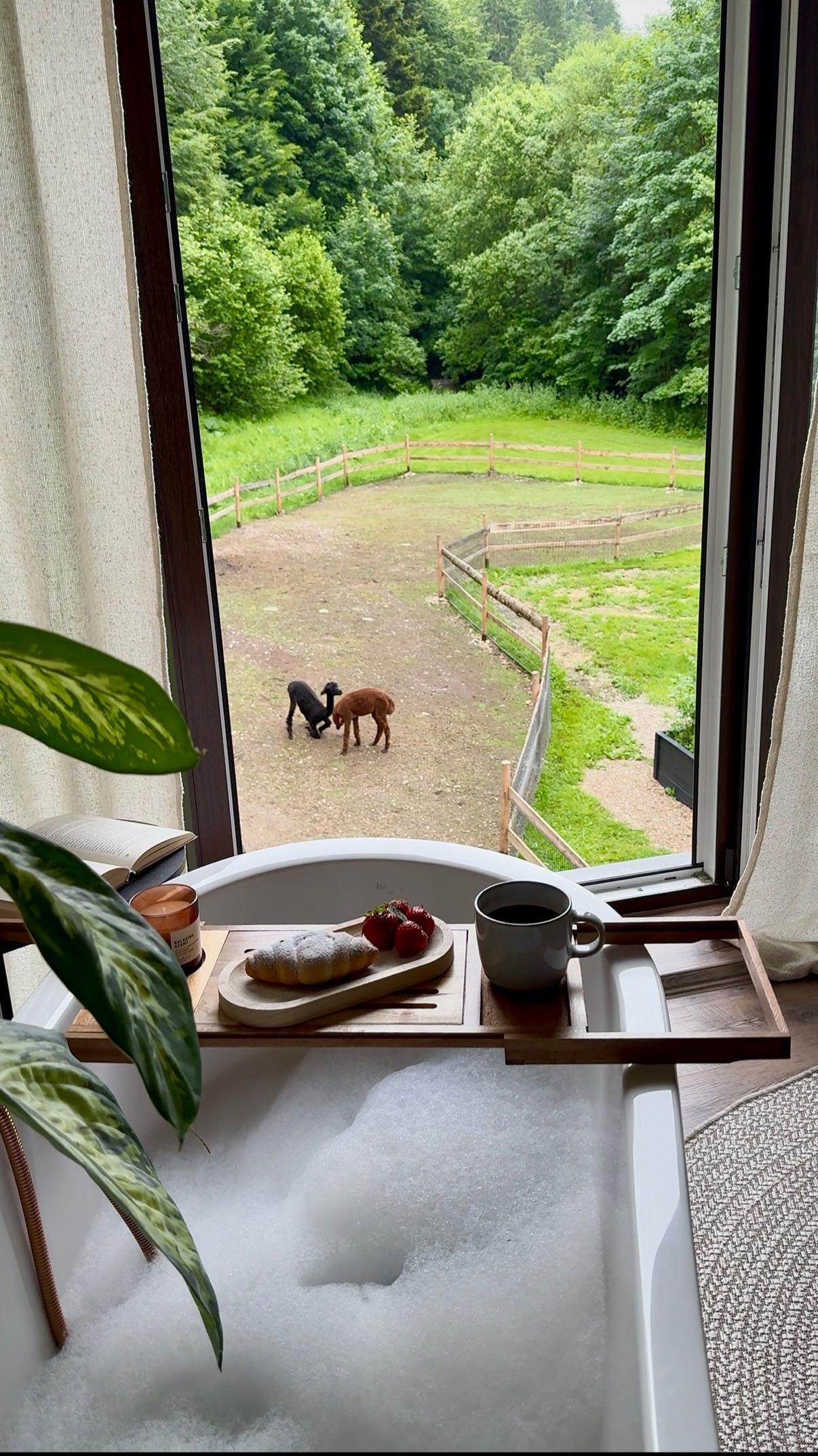 Apartmán s výhledem na Alpaky Apartmán s 4 ložnicemi - Apartmány Samota Klečkov