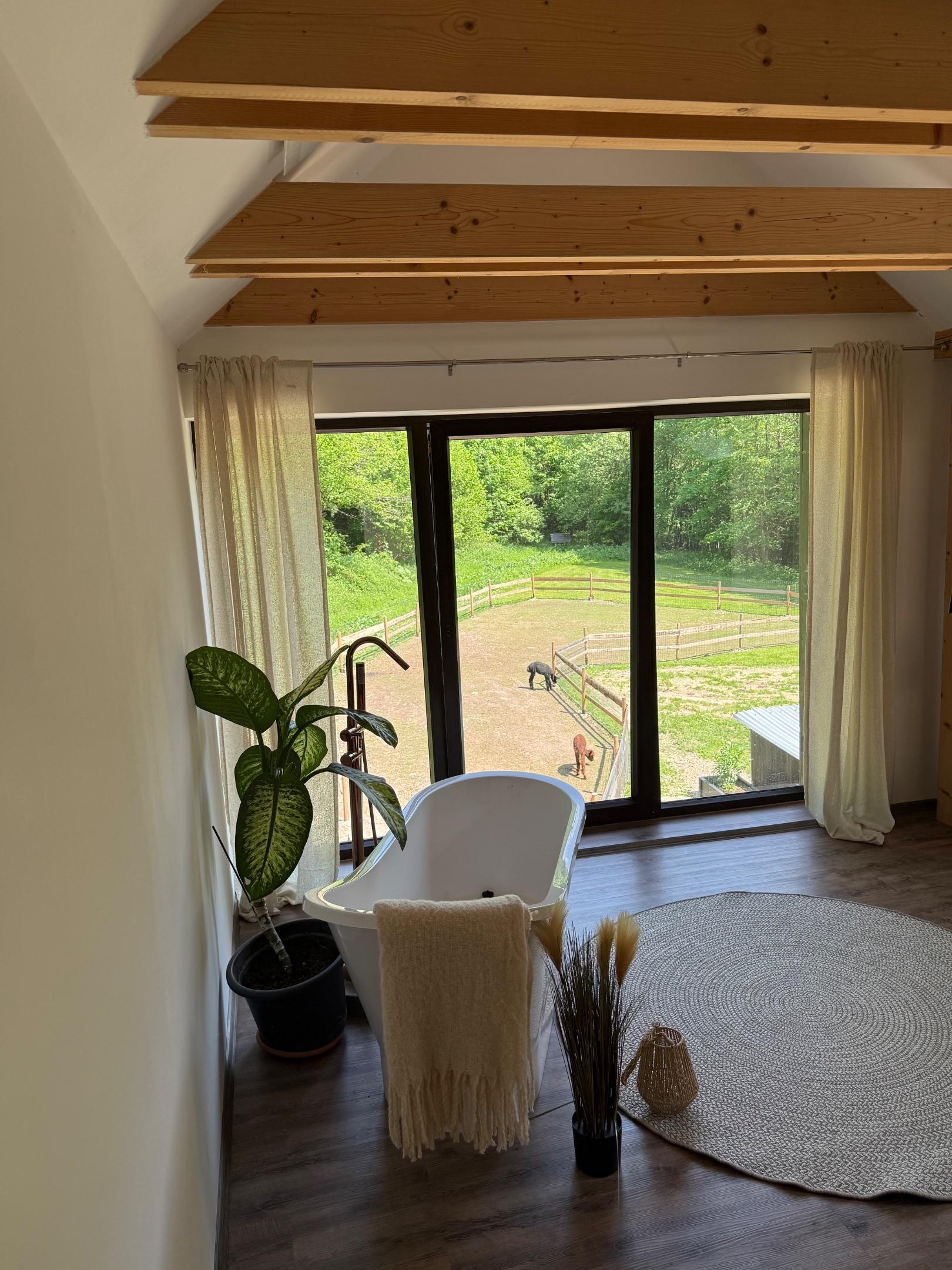 Apartmán s výhledem na Alpaky Apartmán s 4 ložnicemi - Apartmány Samota Klečkov