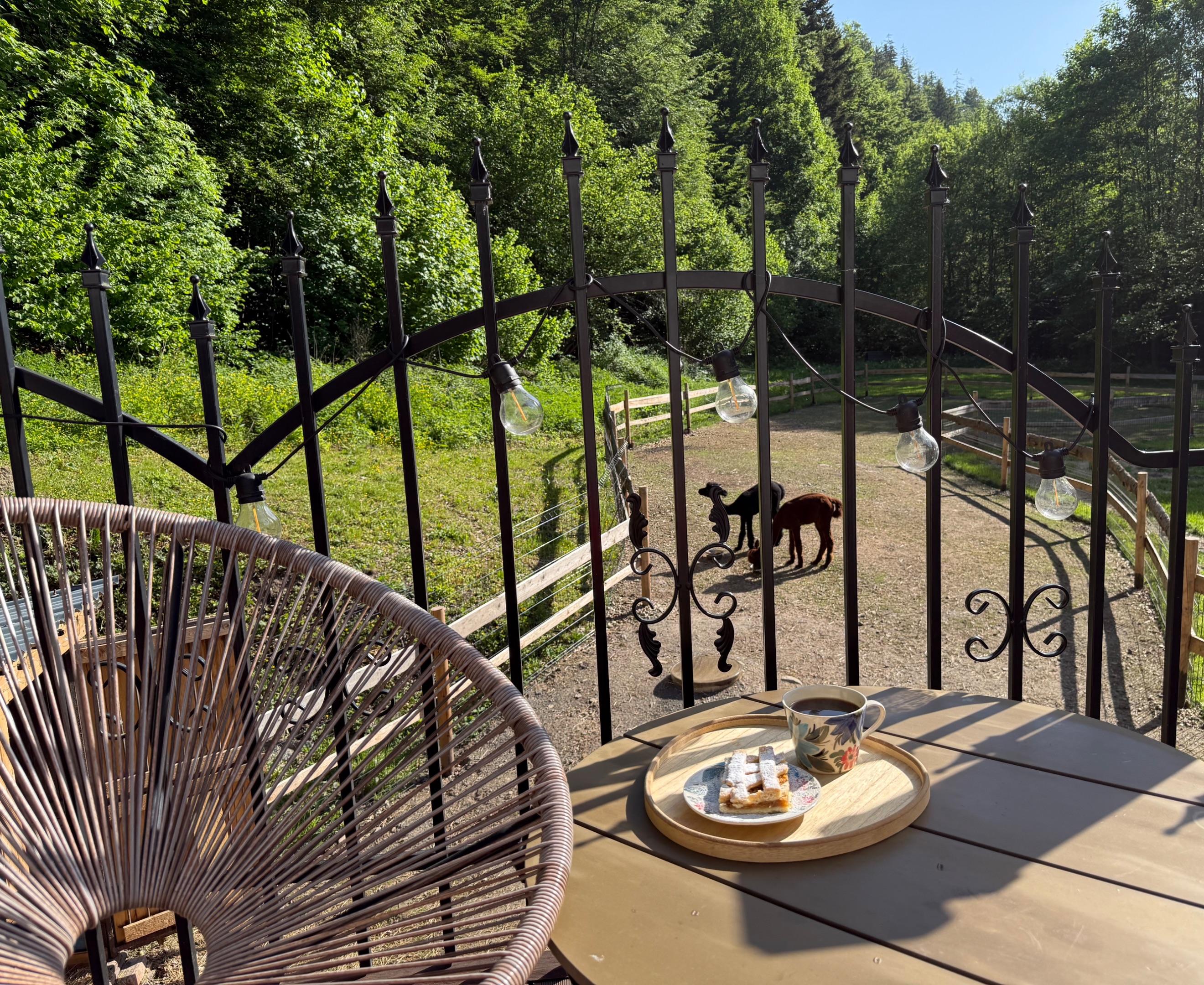 Apartmán s výhledem na Alpaky Apartmán s 4 ložnicemi - Apartmány Samota Klečkov