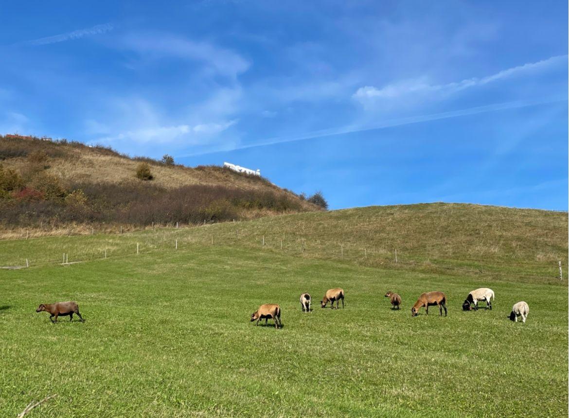 Surroundings - Cottage Podbiel