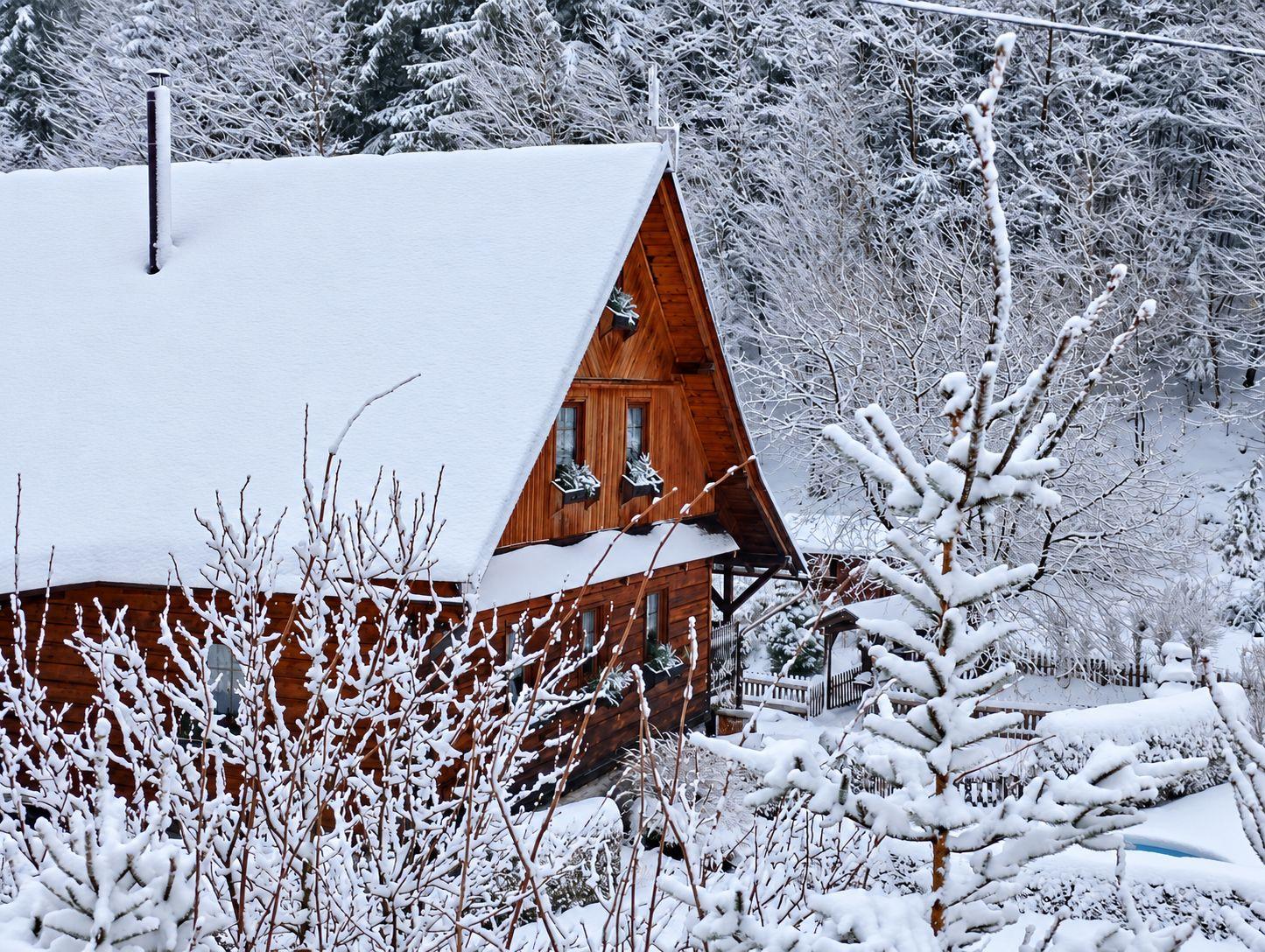 Exteriér - Chata Vlčina