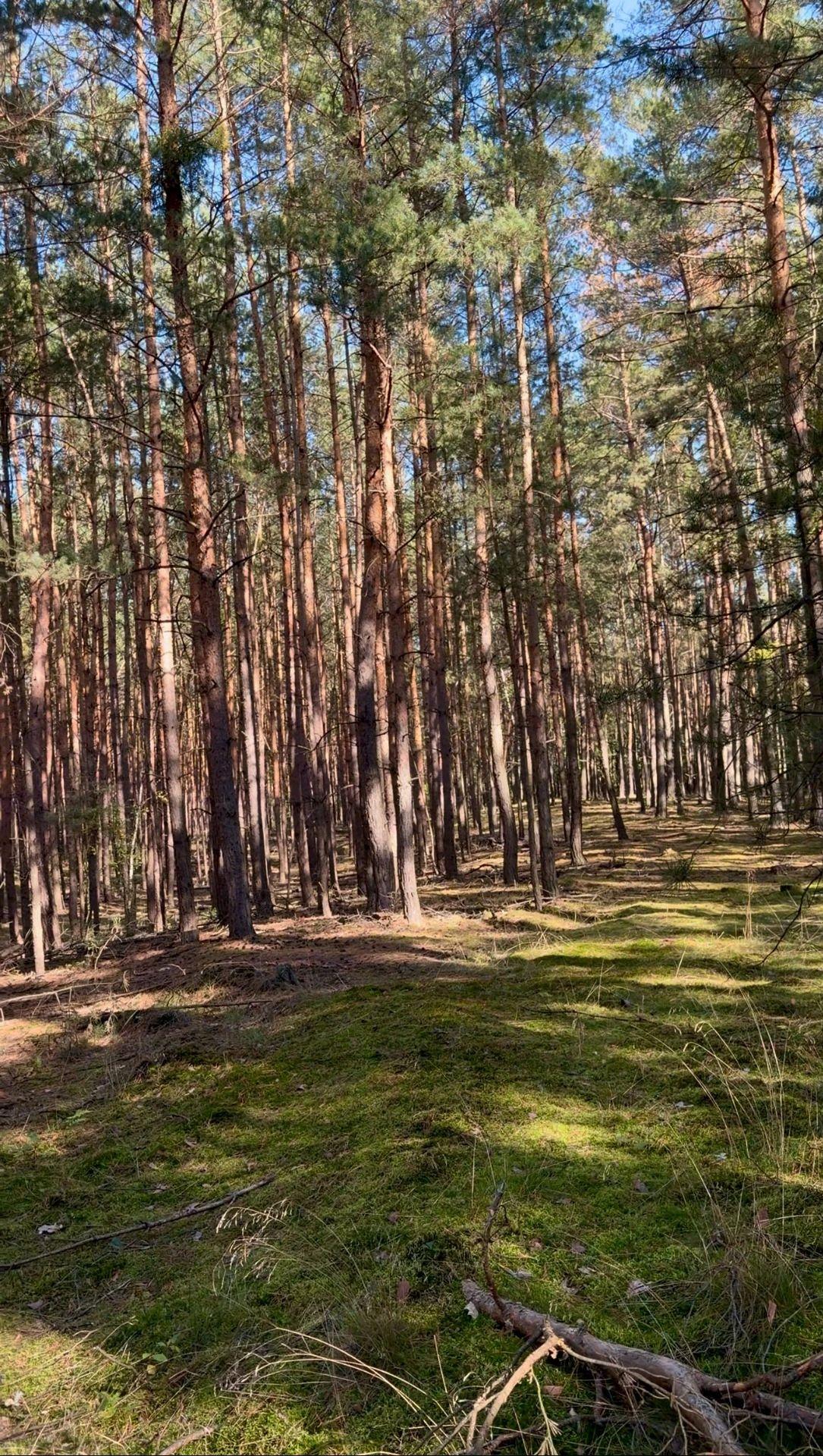 Exteriér - Domky v Kersku