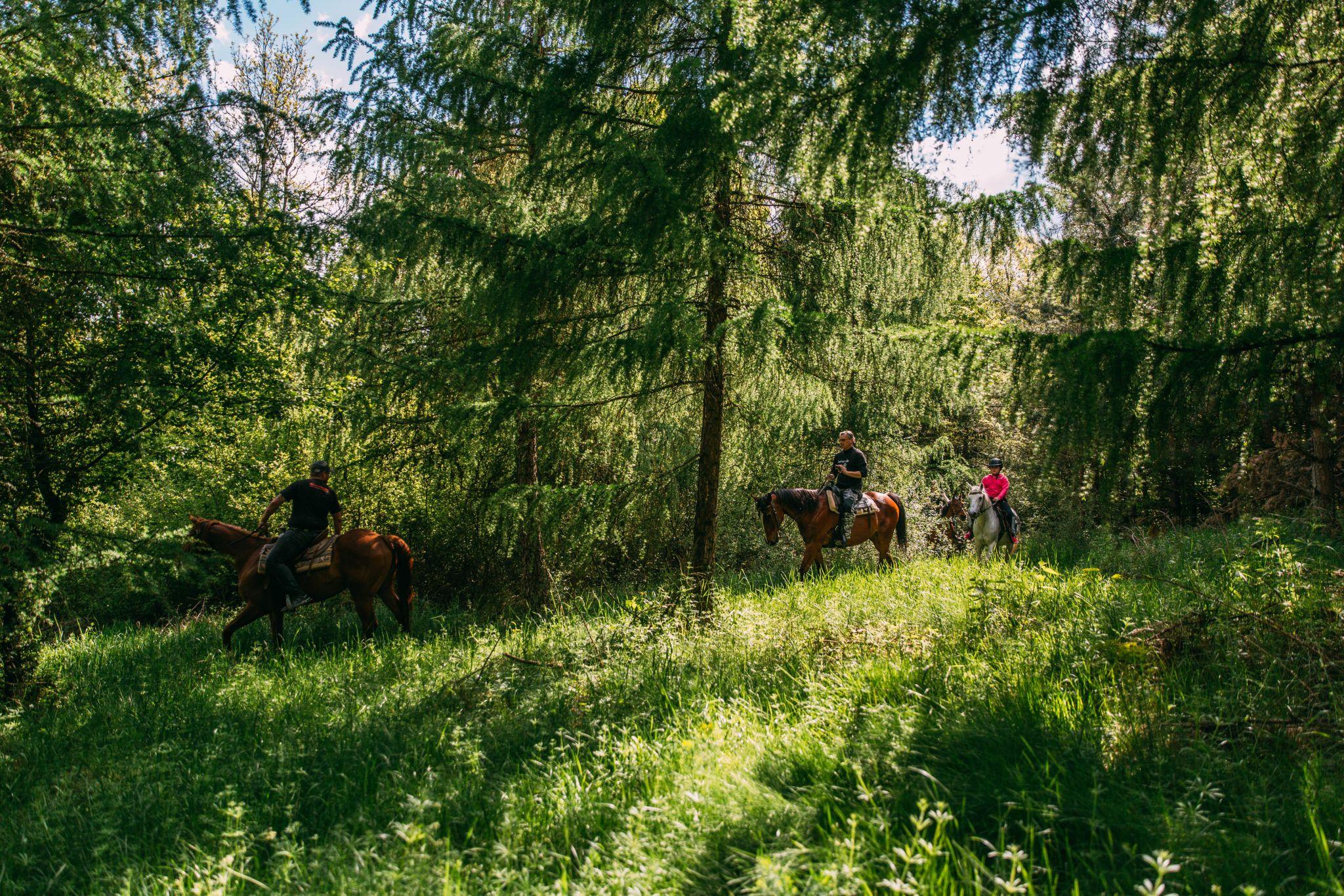 Horská chata - Jazdecký areál sv. Františka 979599