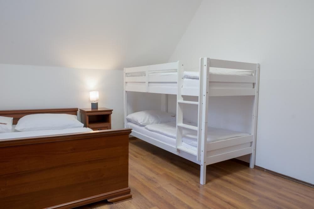 Dvoupokojový apartmán Apartmán s 1 ložnicí - Apartmány Divoký Anděl