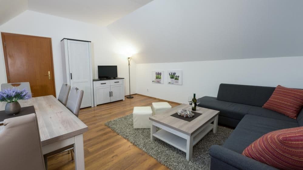 Dvoupokojový apartmán Apartmán s 1 ložnicí - Apartmány Divoký Anděl