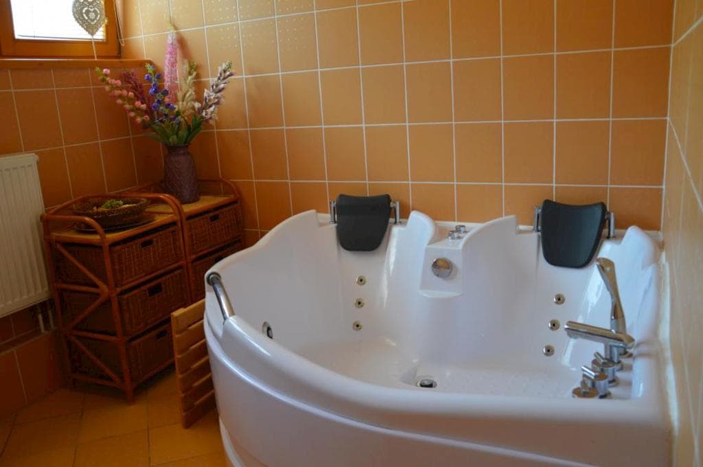 vířivka ve wellness centru - Apartmány Divoký Anděl