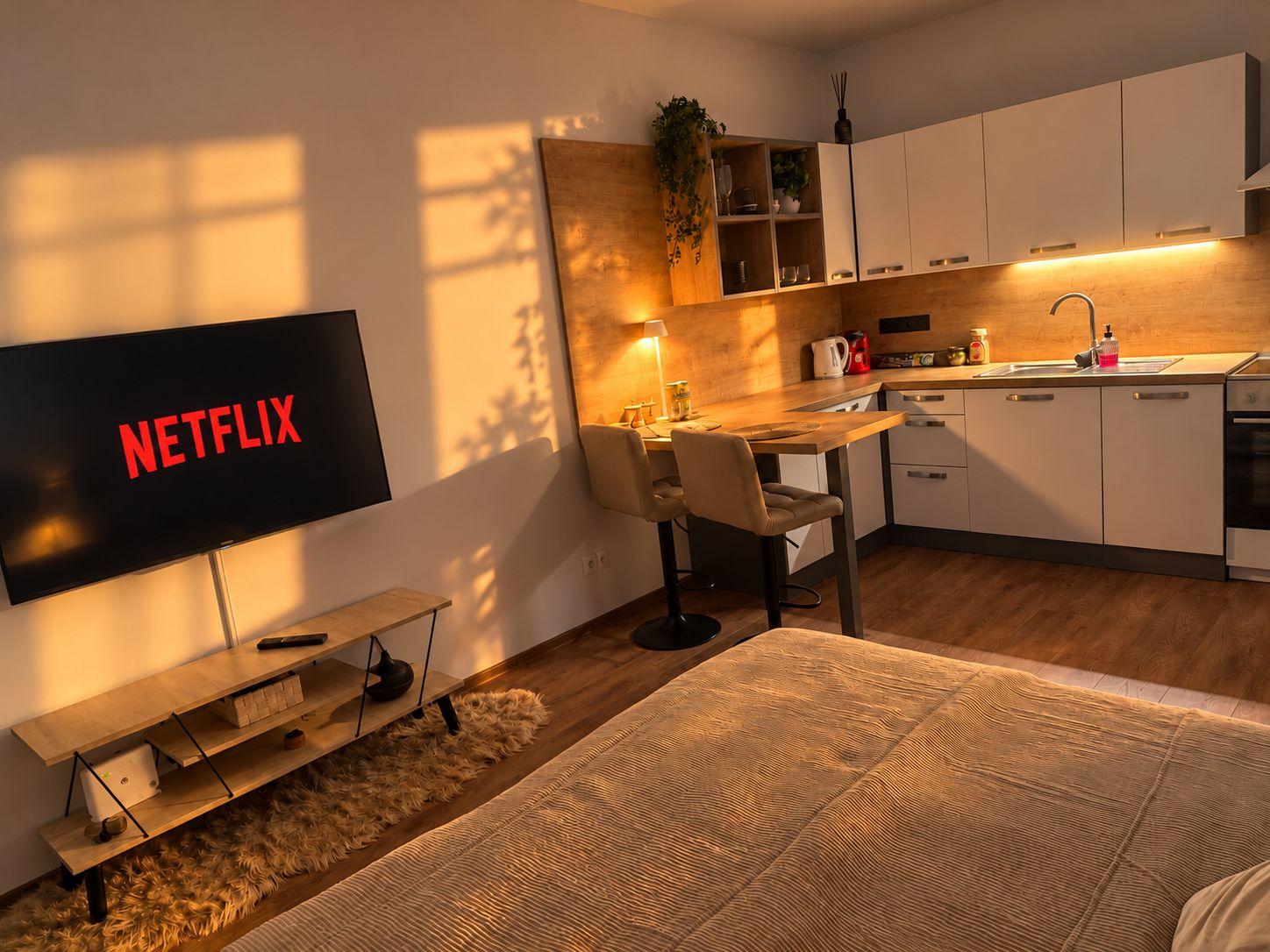 Apartmán Bytča s výhľadom na Súľovské skaly Dvoulůžkové studio s 2 přistýlkami - Apartmán Bytča s výhledem na Súľovské skály