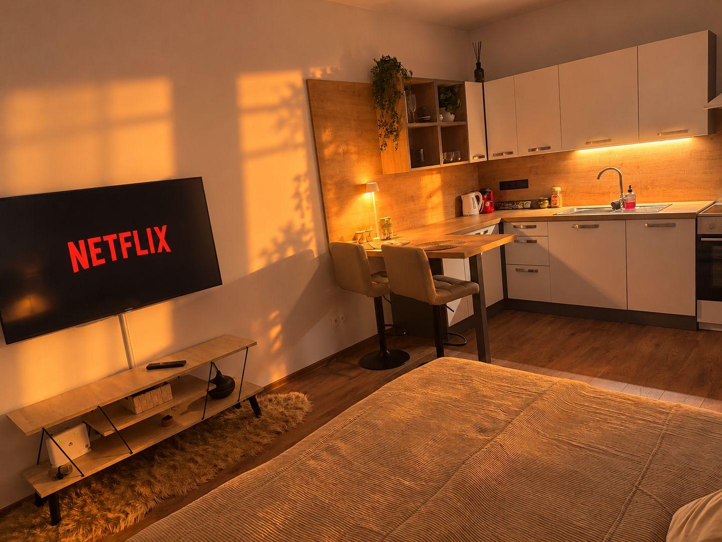 Apartmán s 1 spálňou  - Útulný apartmán Bytča s balkónom a výhľadom na Súľovské skaly