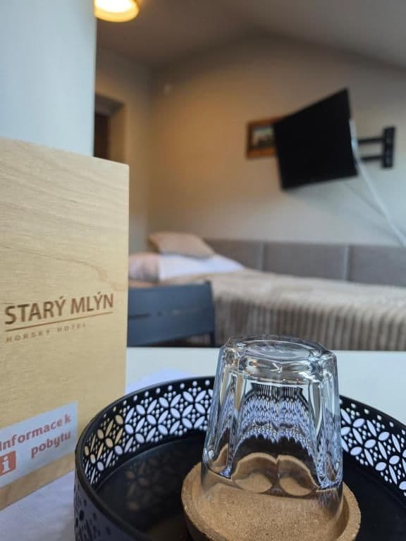 Jednolůžkový pokoj Economy  - Hotel Starý mlýn