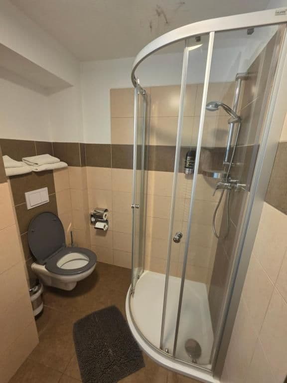 Třílůžkový pokoj s balkónom  - Hotel Starý mlýn