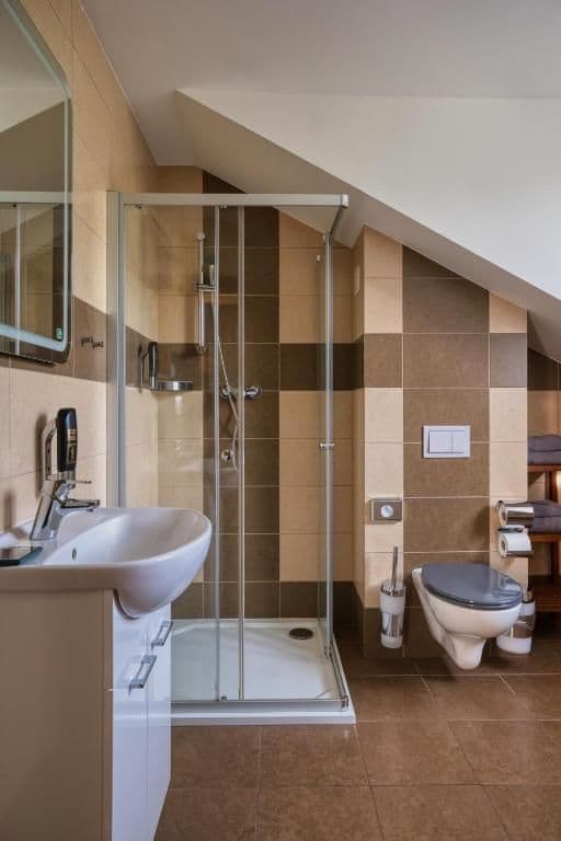 Jednolůžkový pokoj  - Hotel Starý mlýn