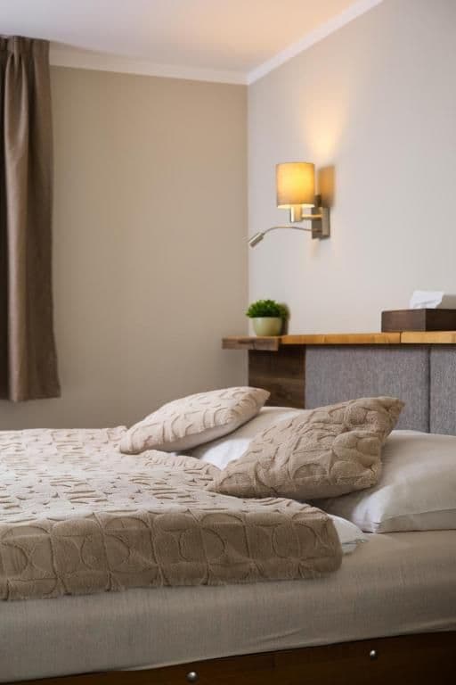 Dvoulůžkový pokoj Economy  - Hotel Starý mlýn