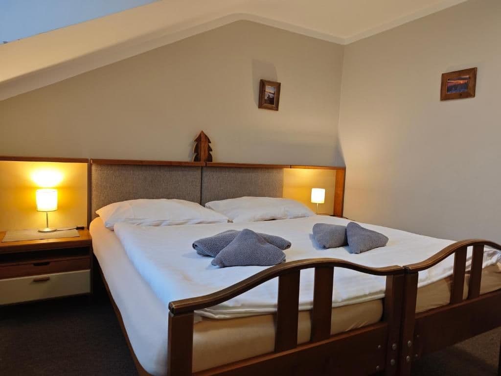 Dvoulůžkový pokoj  - Hotel Starý mlýn