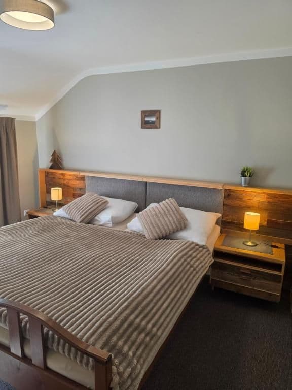 Dvoulůžkový pokoj Economy  - Hotel Starý mlýn