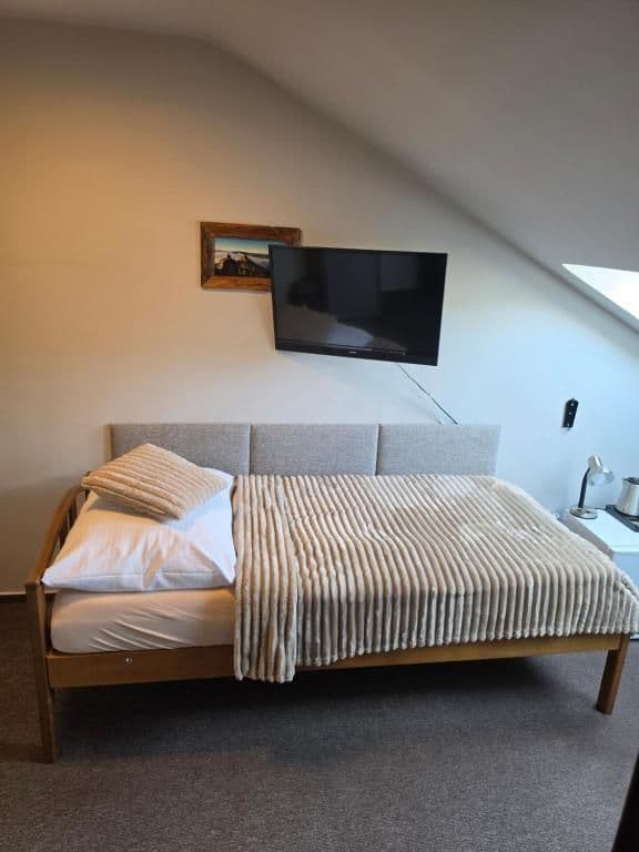 Jednolůžkový pokoj Economy  - Hotel Starý mlýn