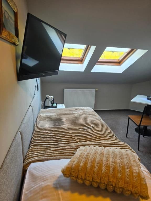 Jednolůžkový pokoj Economy  - Hotel Starý mlýn