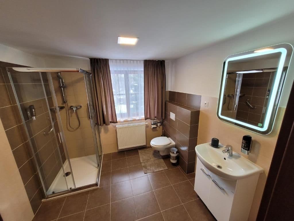 Třílůžkový pokoj  - Hotel Starý mlýn