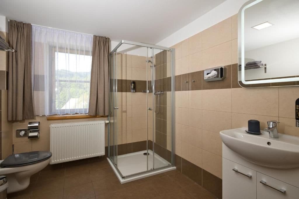 Dvoulůžkový pokoj s terasou  - Hotel Starý mlýn