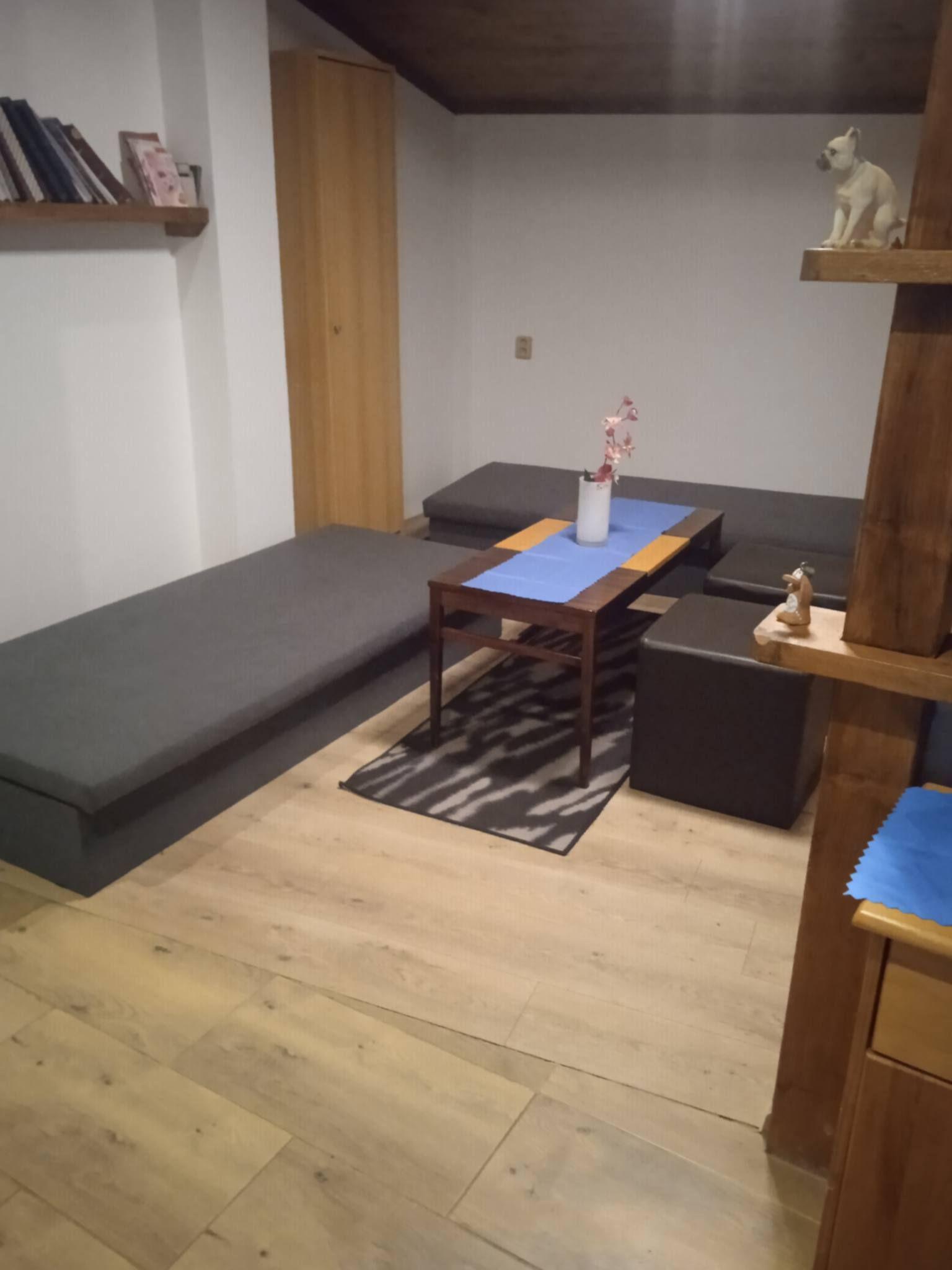 Apartament z 1 sypialnią  - Ubytování v soukromí