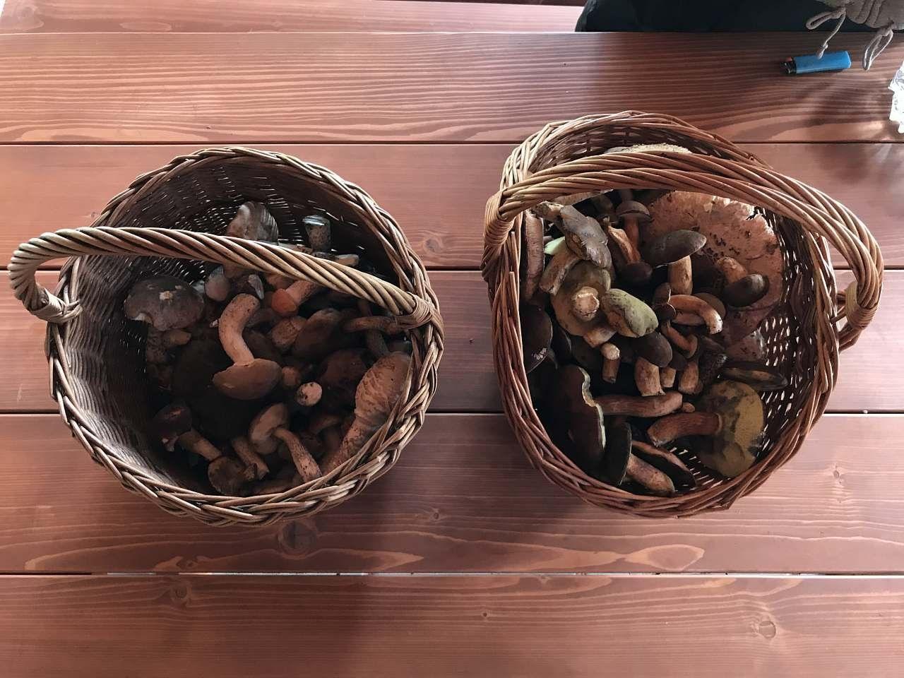 Okolí - Vila na pláži