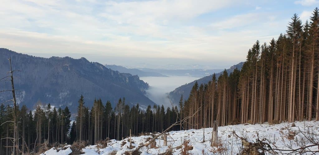 turistika Vrátna - Chalupa na Hrbku Belá