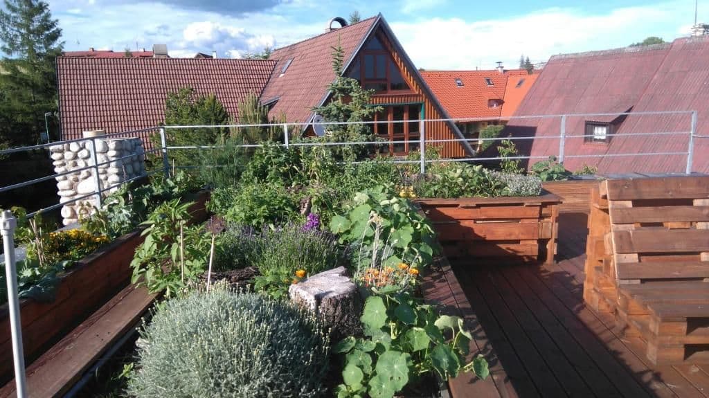 Apartmány Zuzana- Family House v létě