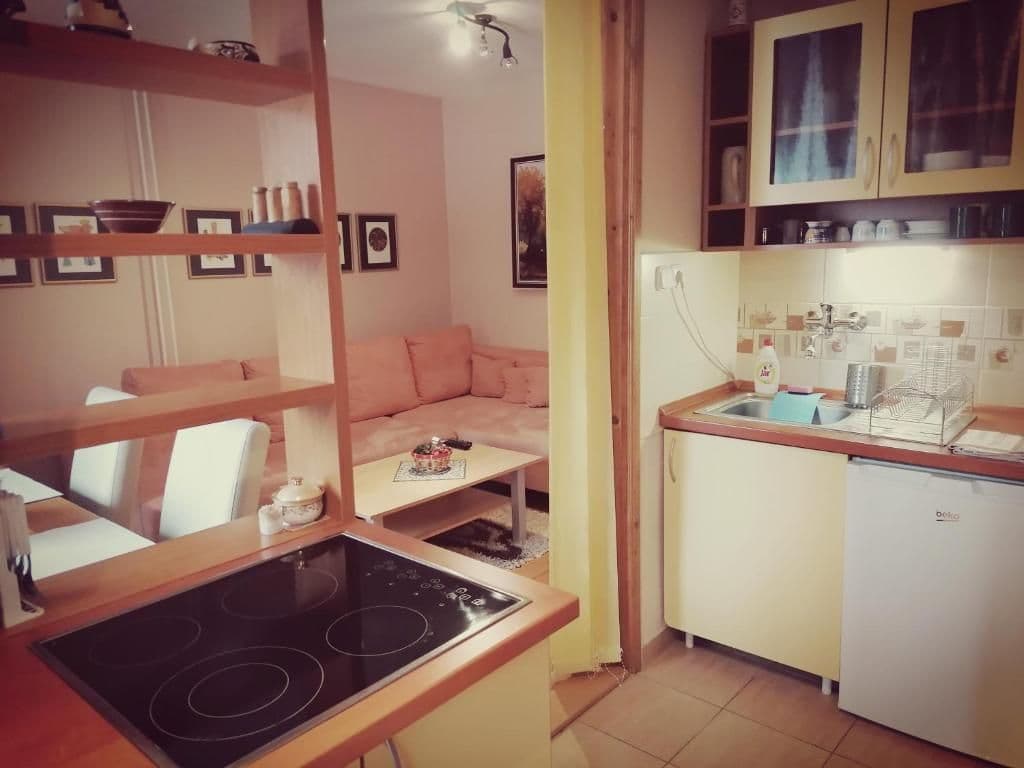 Mezonetový apartmán Mezonetový apartmán s 2 ložnicemi - Apartmány Zuzana- Family House