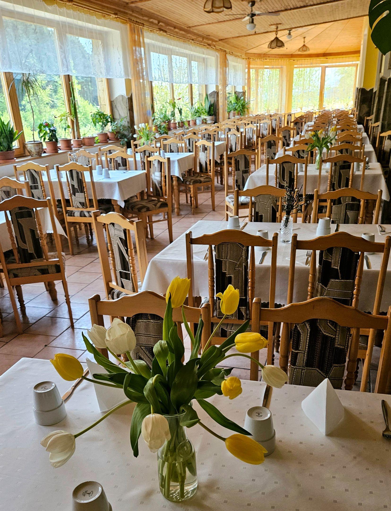 Hotel & Wellness centrum Javorná 780686