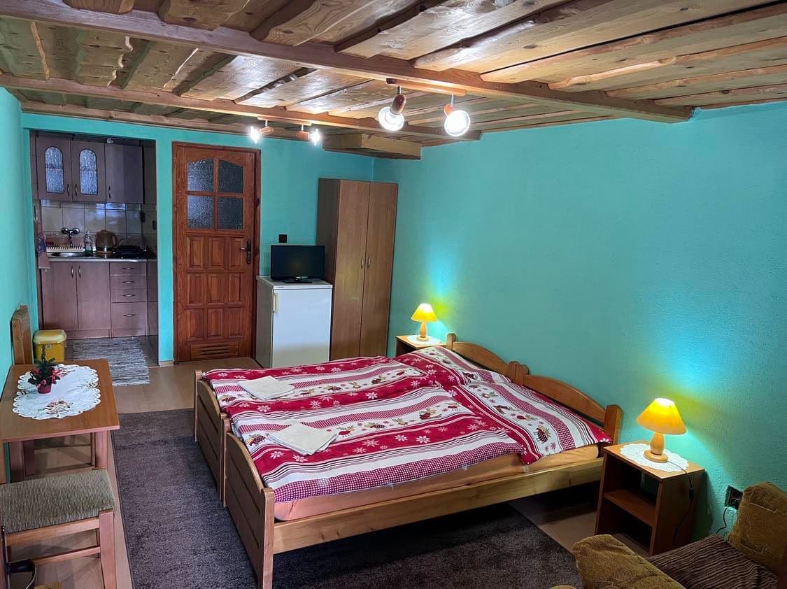 Apartament z 1 sypialnią  - Pensjonat Pohoda