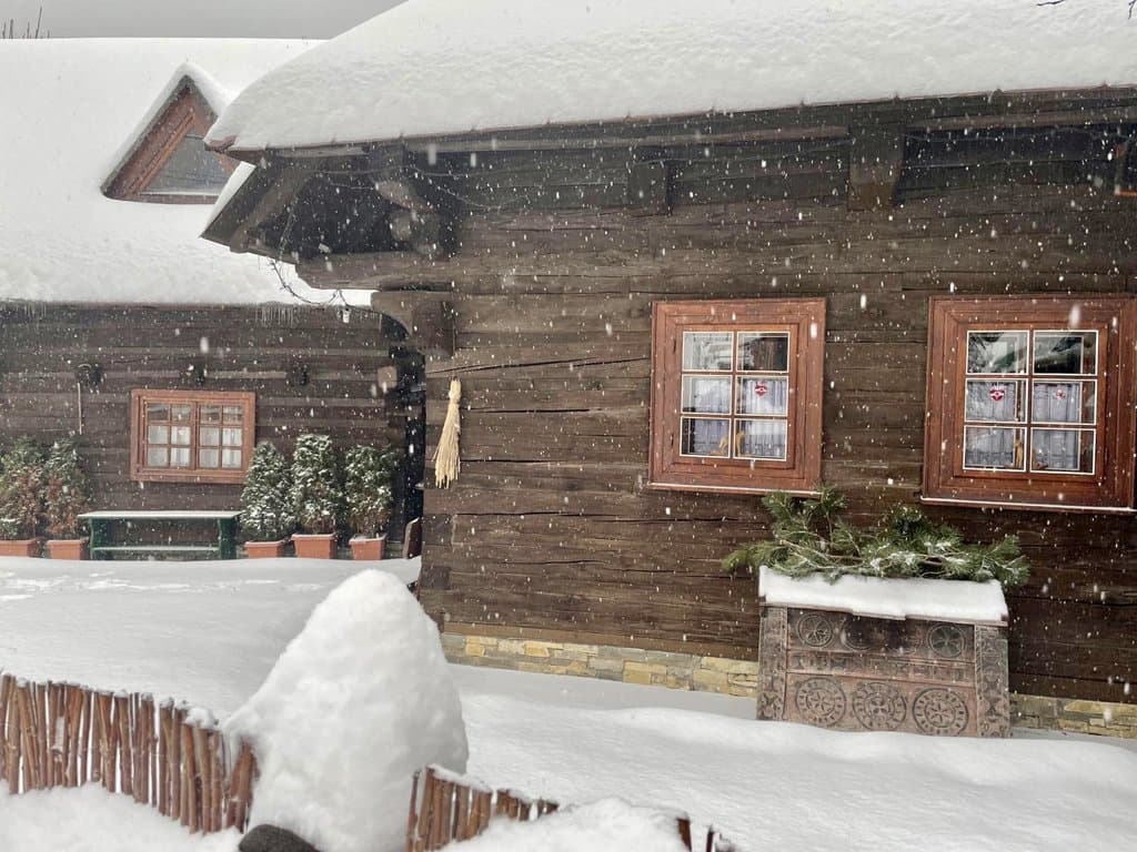 Chalets Holúbkovia in the winter