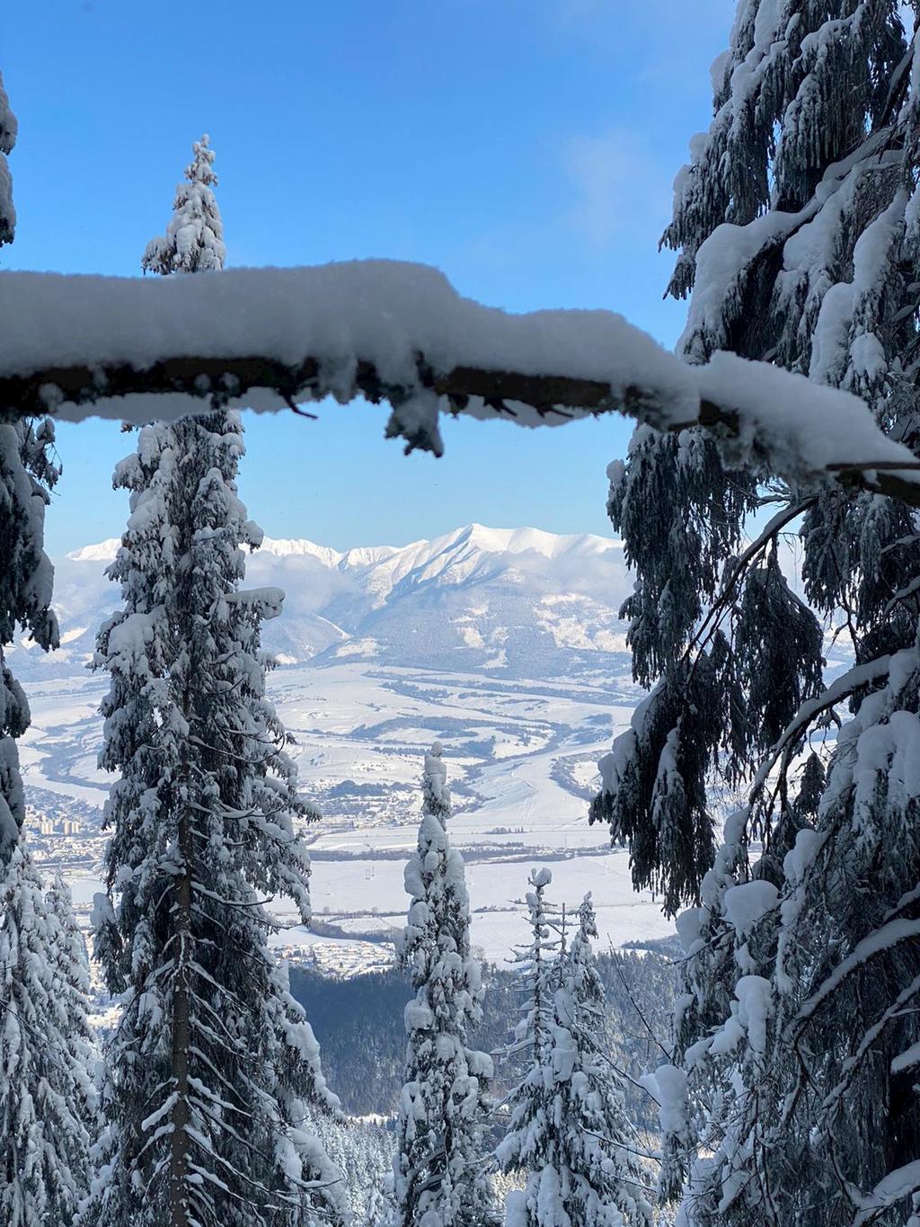 Ferienhaus Tobias 438326