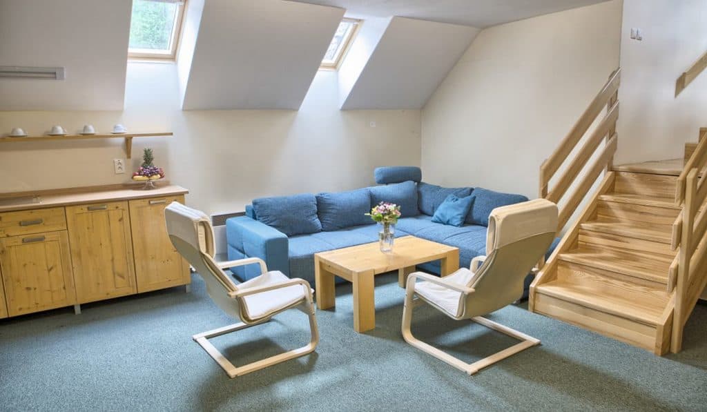 Apartmán BIg Family - 8 lôžok - Penzión Bystrinka