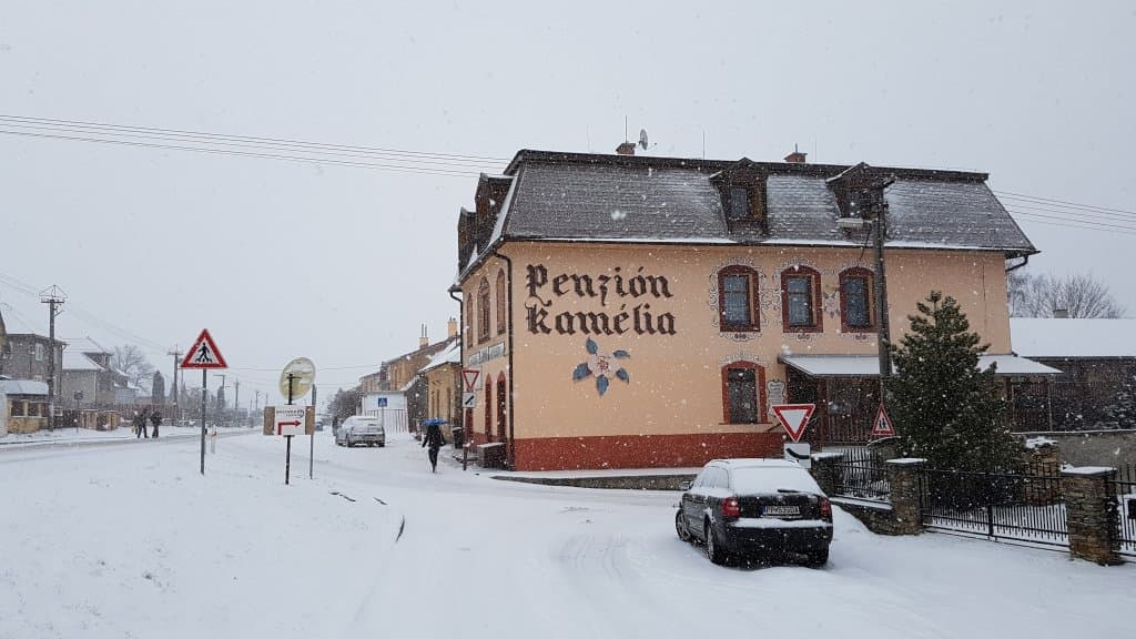 Penzión Kamélia 216518