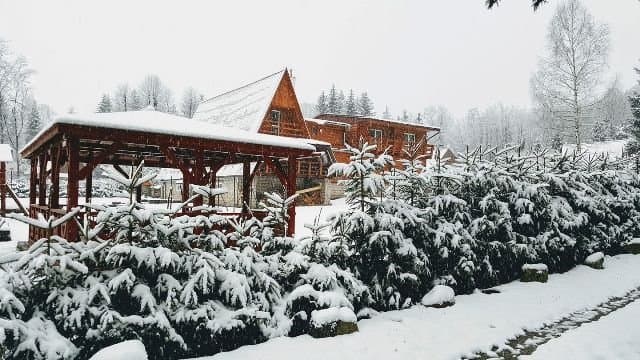 Teren zewnętrzny - Domek Trusalka