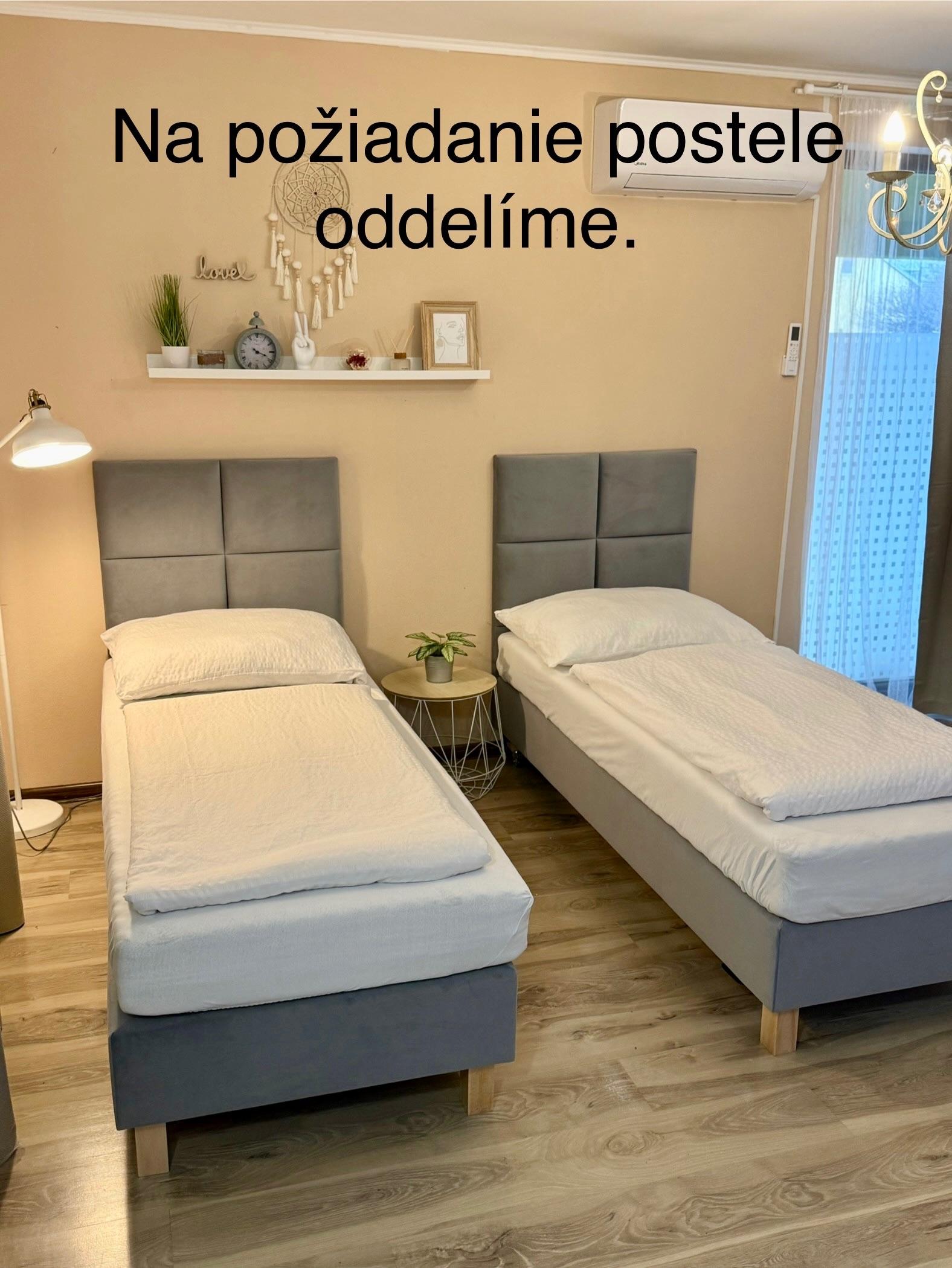 Bezbariérový apartmán na prízemí Apartmán s 1 spálňou - Apartmány Zelený dom