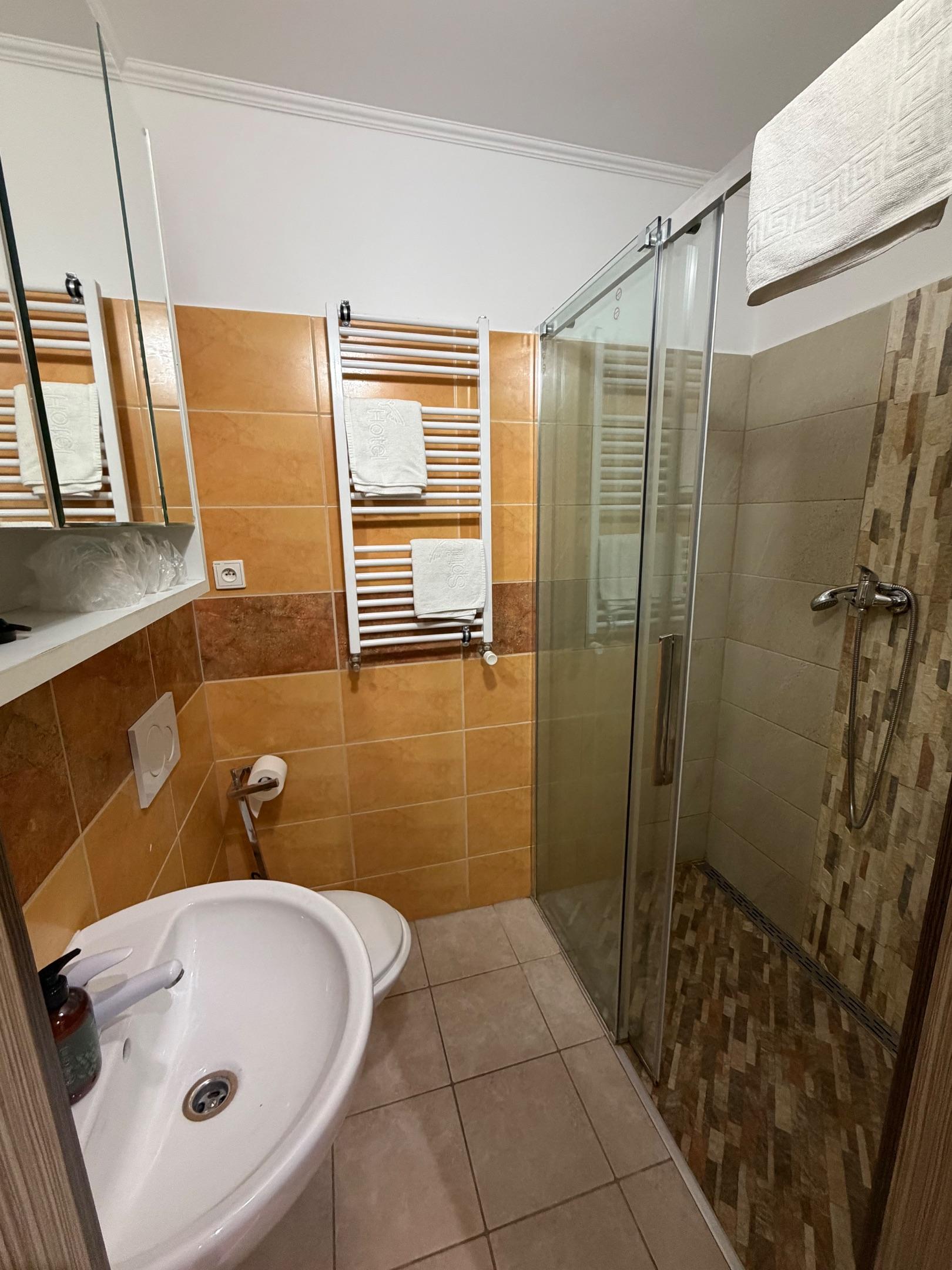 Appartement mit 1 Schlafzimmer  - Pension GREEN HOUSE