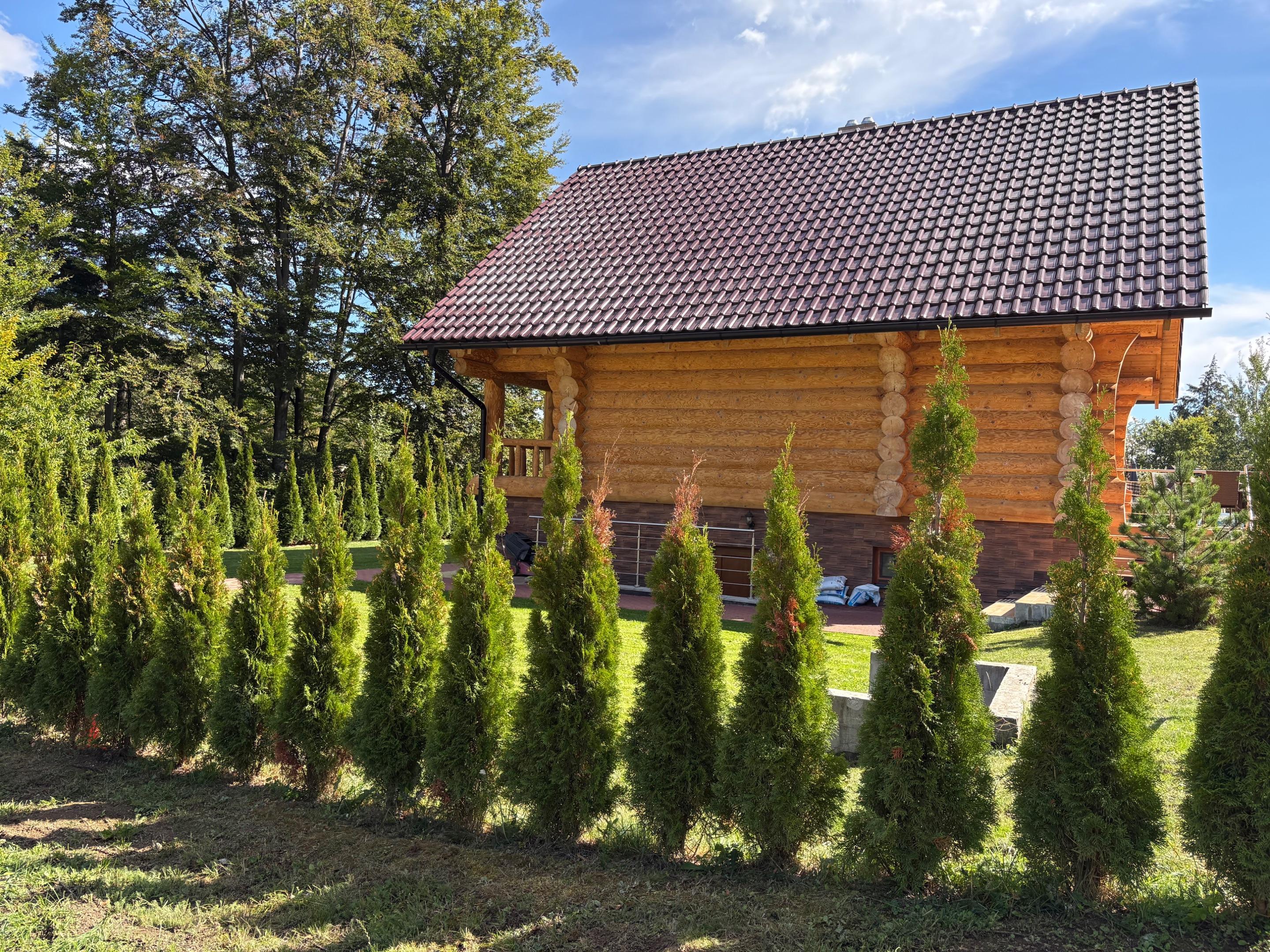 Zrub nad priehradou 974475