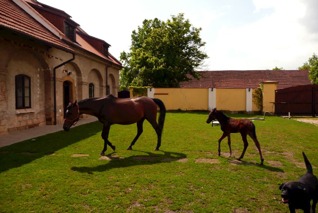 Statek Chmelovice 275961