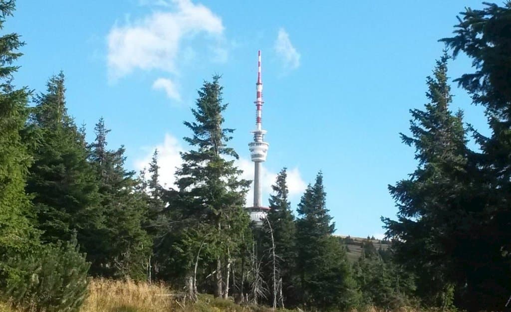 Vila Břidličná 319845