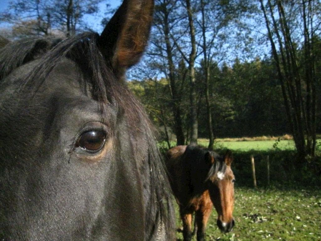Exterieur - Landhäuser Kyprův mlýn