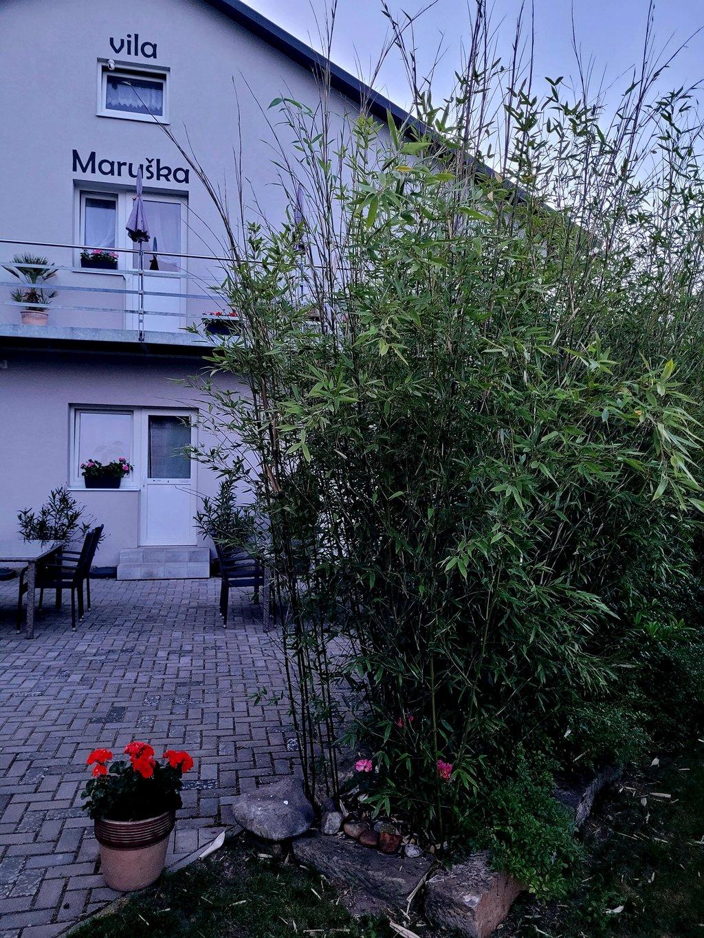 Apartmán 4 Dvoulůžkové studio - Vila Maruška