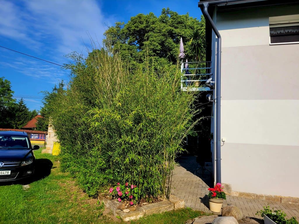 Exteriér - Vila Maruška