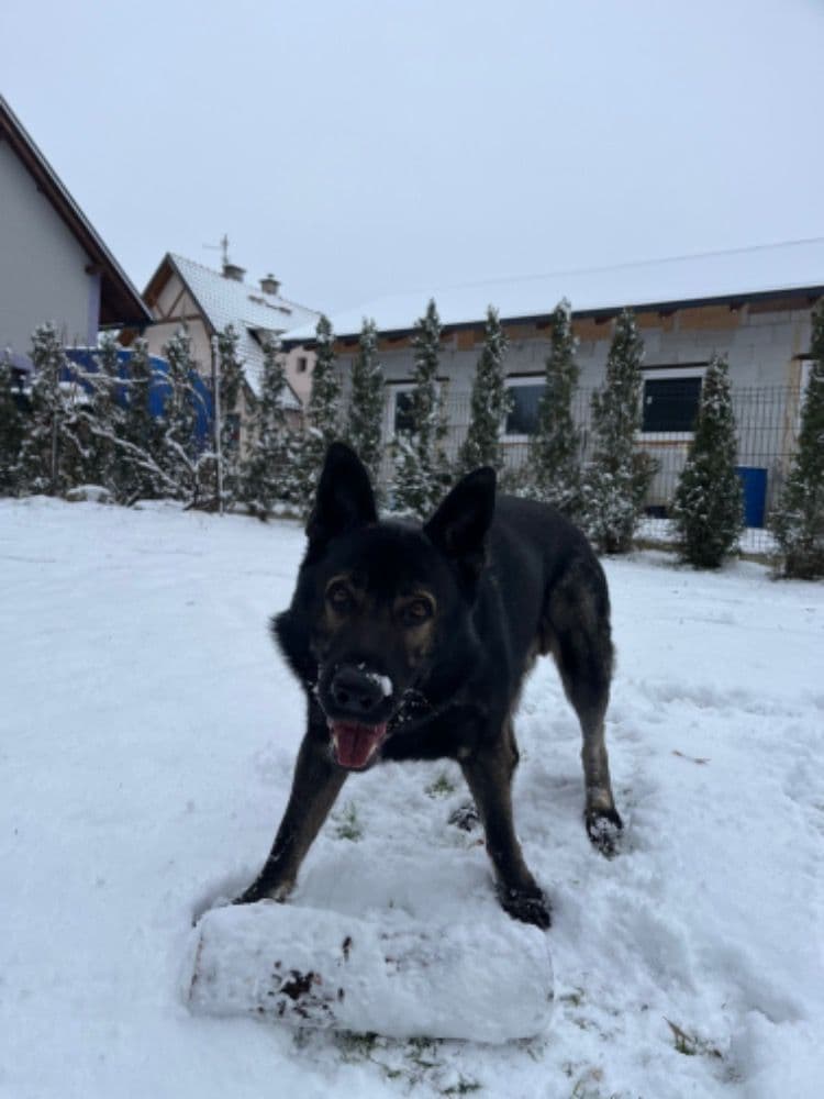 Exteriér - Rekreační dům U taty