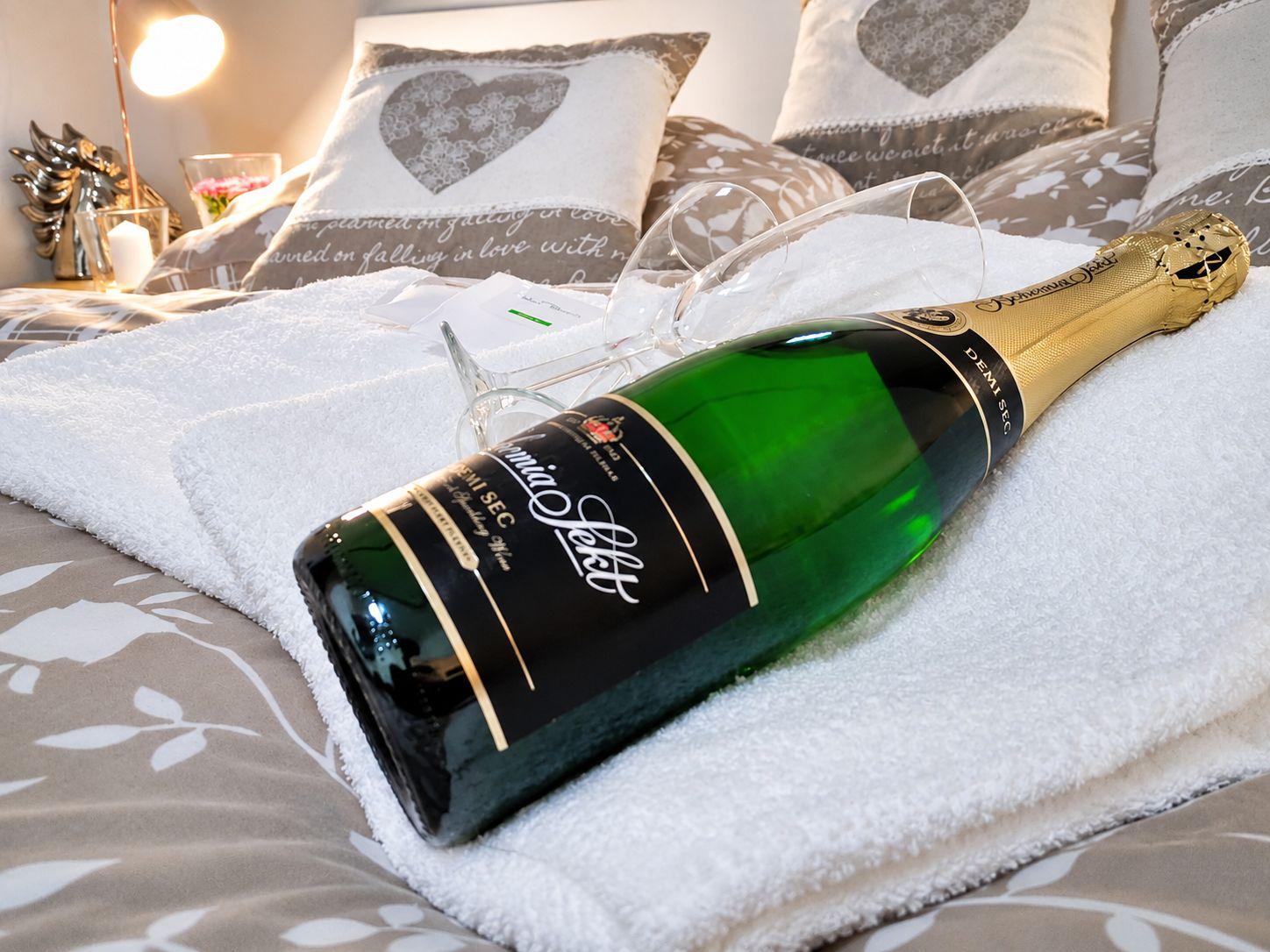 Apartment 1 bedroom  - Pension Romance