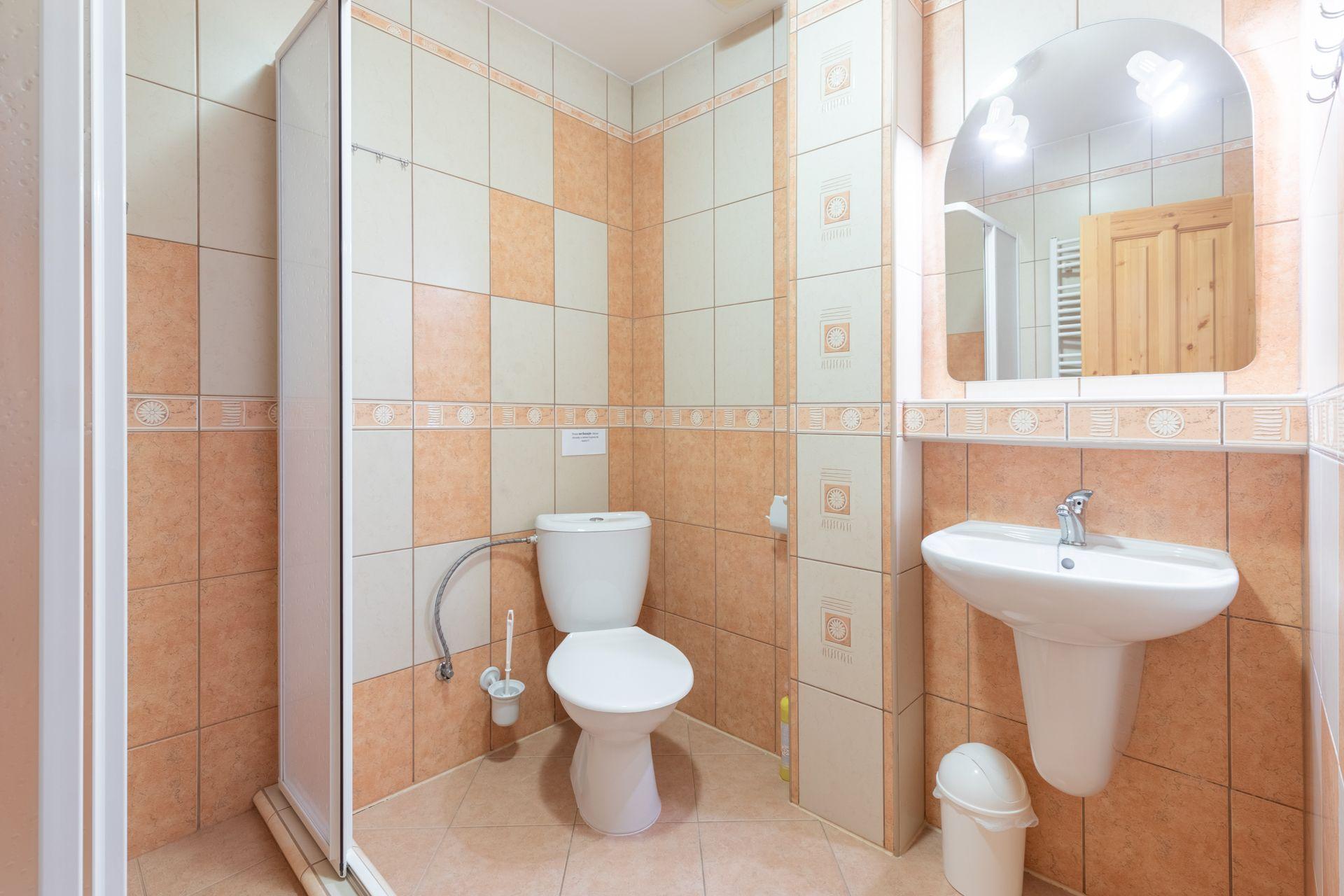 Appartement mit 1 Schlafzimmer  - Pension Chlustov
