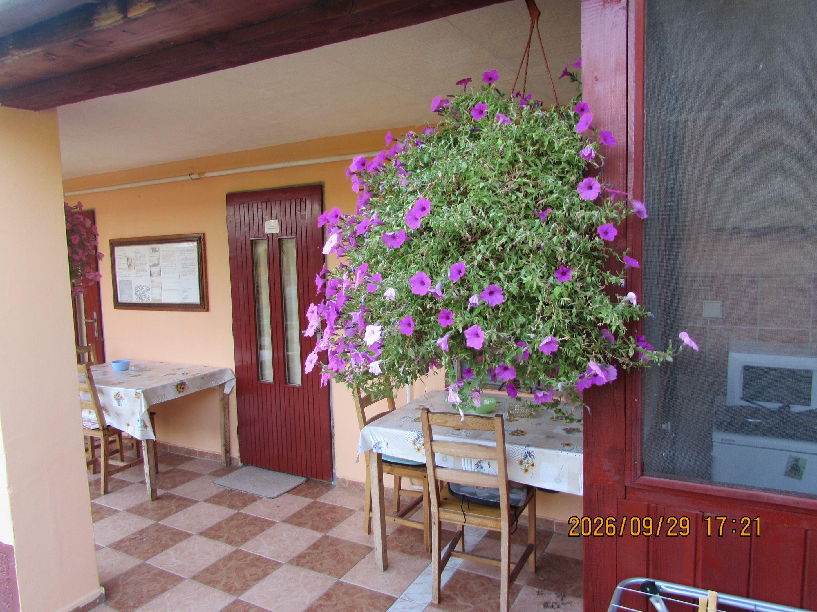 Apartmány Roni 981400