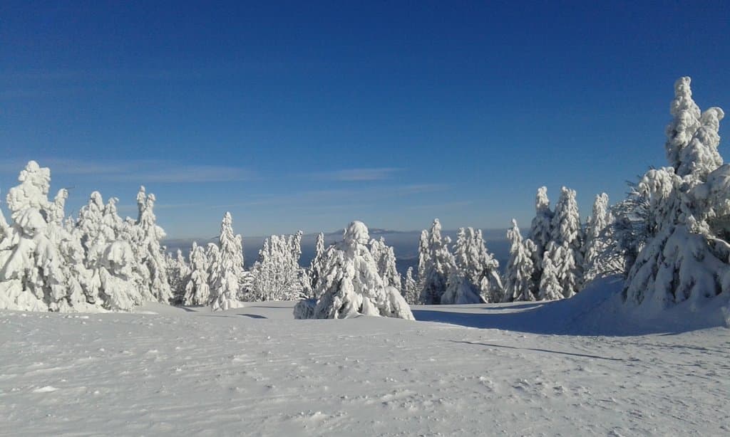 Minčol - Domek Stred Kubínska hoľa
