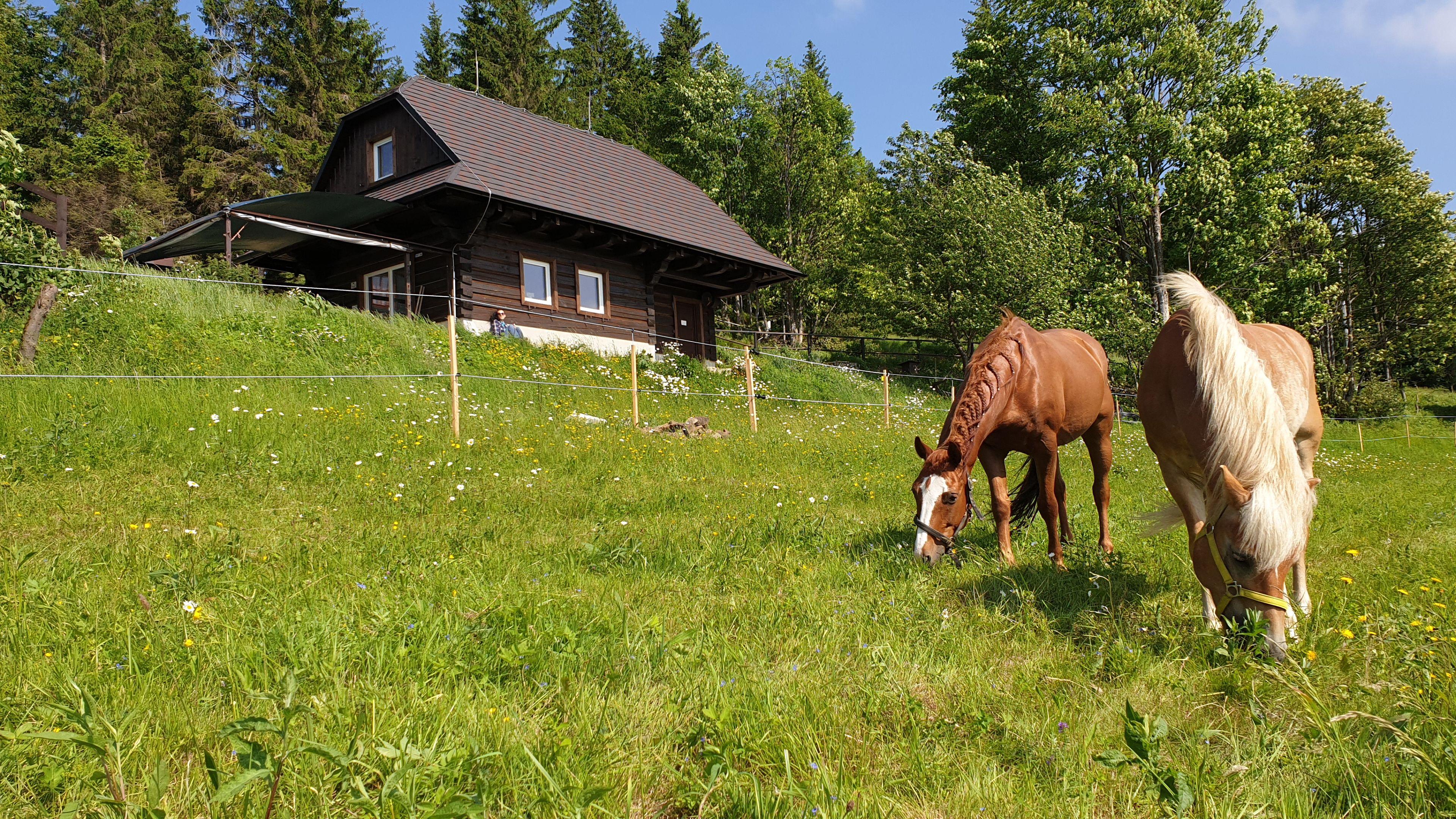 Panoráma Ranč in the summer