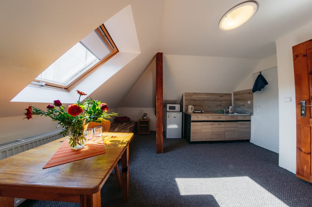 Apartament z 1 sypialnią  - Nocleg Tatiana
