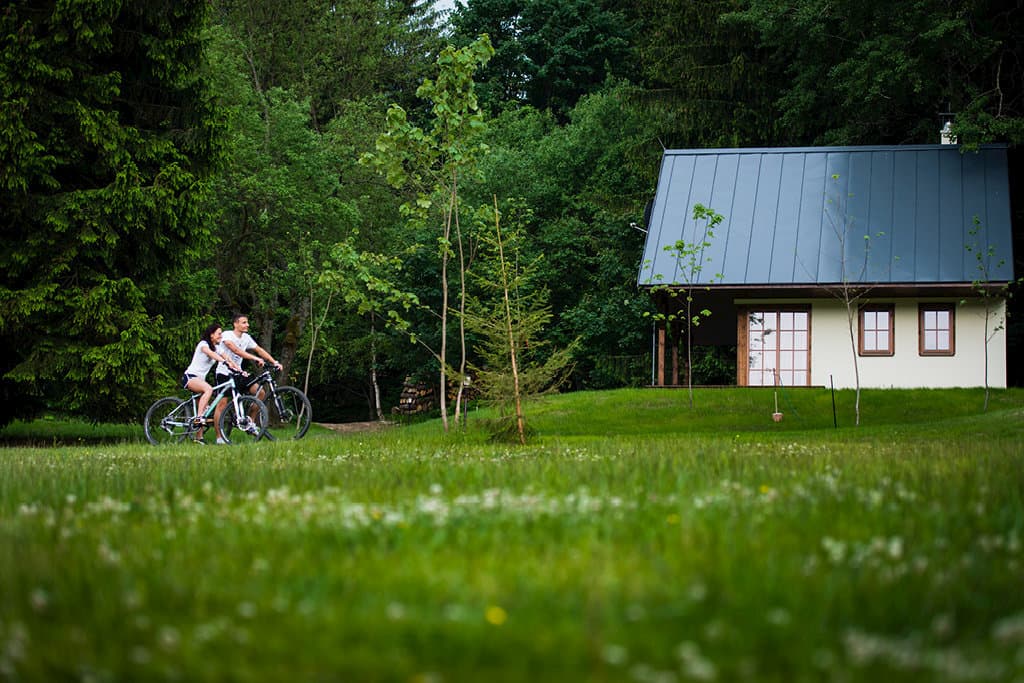 Horská chata A  - Horské chaty Amenity Resort Orlické hory